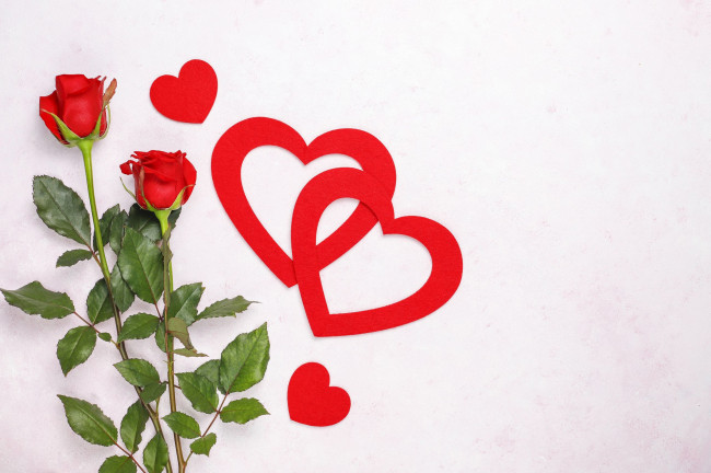 Обои картинки фото праздничные, день святого валентина,  сердечки,  любовь, розы, сердечки