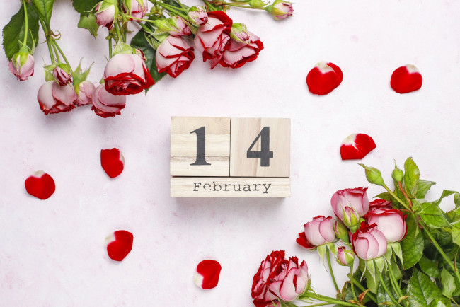 Обои картинки фото праздничные, день святого валентина,  сердечки,  любовь, дата, число, лепестки, розы
