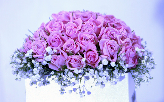 Обои картинки фото цветы, букеты,  композиции, розовые, розы, гипсофила, букет