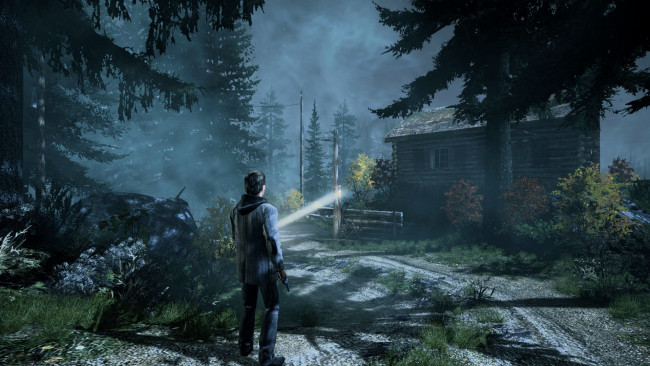 Обои картинки фото видео игры, alan wake, мужчина, фонарь, лес, дорога, дом