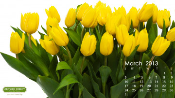 обоя календари, цветы, желтые, тюльпаны