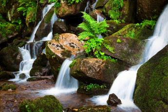 Картинка природа водопады лес ручей камни скалы река