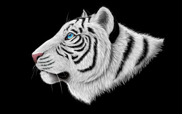 Картинка белый+тигр рисованные животные +тигры темный фон тигр