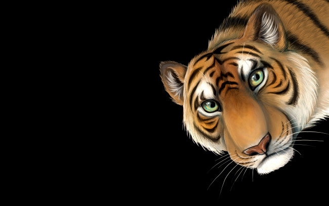 Обои картинки фото тигр, рисованные, животные,  тигры, темный, фон