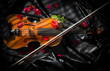 обоя музыка, -музыкальные инструменты, смычок, скрипка, розы