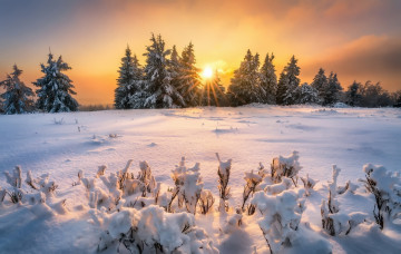 Картинка природа восходы закаты свет снег зима