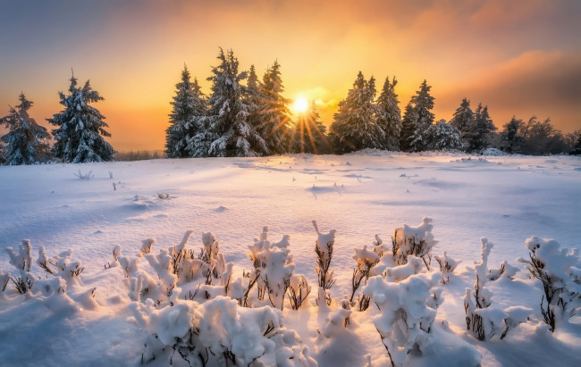 Обои картинки фото природа, восходы, закаты, свет, снег, зима