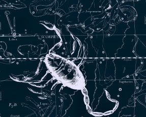 Картинка разное знаки+зодиака скорпион знак звезды созвездия