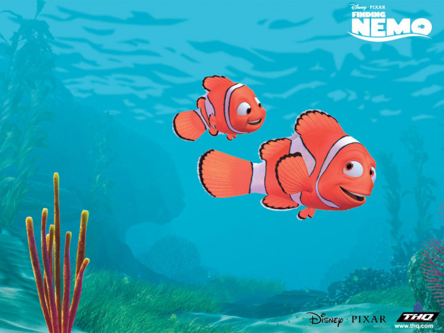 Обои картинки фото мультфильмы, finding, nemo