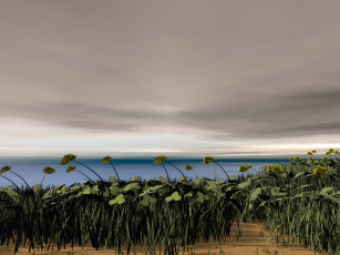 Картинка 3д графика nature landscape природа облака трава