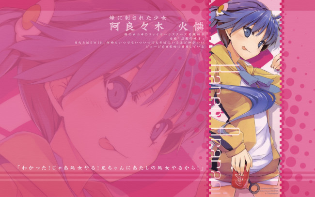 Обои картинки фото аниме, bakemonogatari, araragi karen, девушка, форма, заколка
