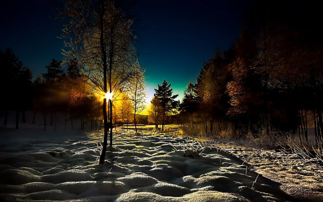 Обои картинки фото природа, восходы, закаты, лес, зима, блики, солнца