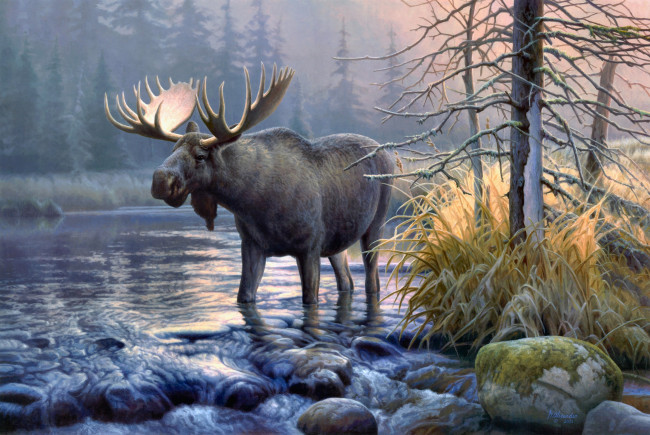 Обои картинки фото power, in, the, mist, рисованные, greg, alexander, stream, sunrise, forest, elk, moose, painting, river