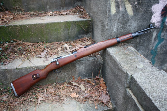 Картинка оружие винтовкиружьямушкетывинчестеры листья m48 mauser rifle винтовка