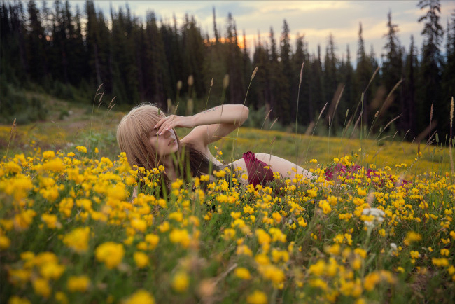 Обои картинки фото девушки, -unsort , блондинки, луг, лес, ветер, красная, ткань, девушка