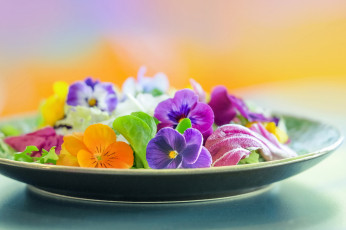 Картинка цветы анютины+глазки+ садовые+фиалки фон тарелка