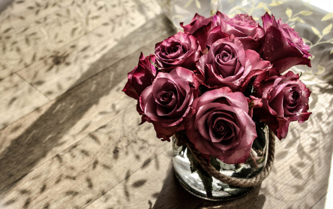 Обои картинки фото цветы, розы, фон