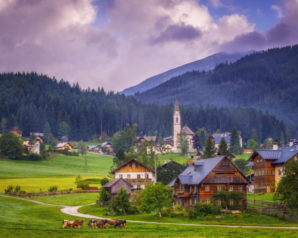 Обои картинки фото города, - панорамы, gosau, альпы, коровы, долина, alps, austria, valley, дома, upper, церковь, австрия, горы, гозау