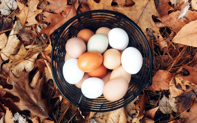 Обои картинки фото еда, Яйца, корзинка, яйца, листья, осень