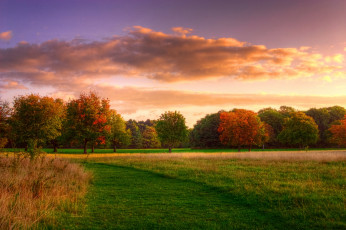 Картинка природа луга поле осень деревья облака небо