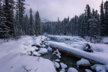 Картинка природа реки озера река снег лес