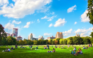 Картинка города нью-йорк+ сша отдых люди лужайка деревья парк здания дома облака небо