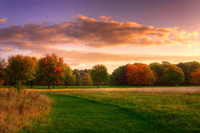 Обои картинки фото природа, луга, поле, осень, деревья, облака, небо
