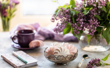 Картинка еда конфеты +шоколад +сладости цветы чашка ваза натюрморт зефир