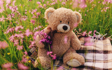 обоя разное, игрушки, поле, цветы, мишка, love, field, heart, pink, flowers, romantic, spring, teddy, bear, cute, meadow