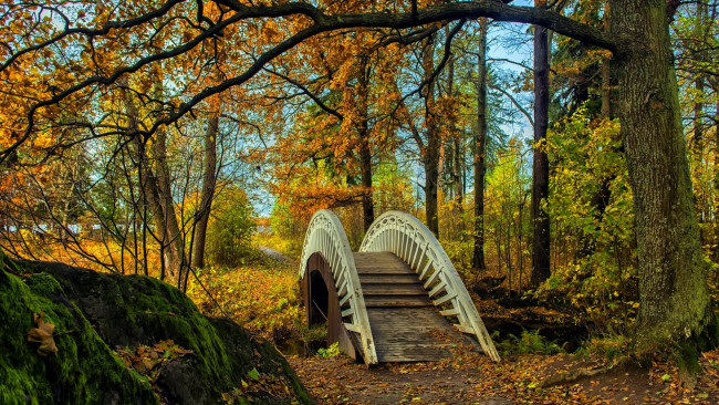 Обои картинки фото природа, парк, осень, мостик, листопад