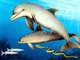 Картинка рисованное животные море дельфины змея рыбы