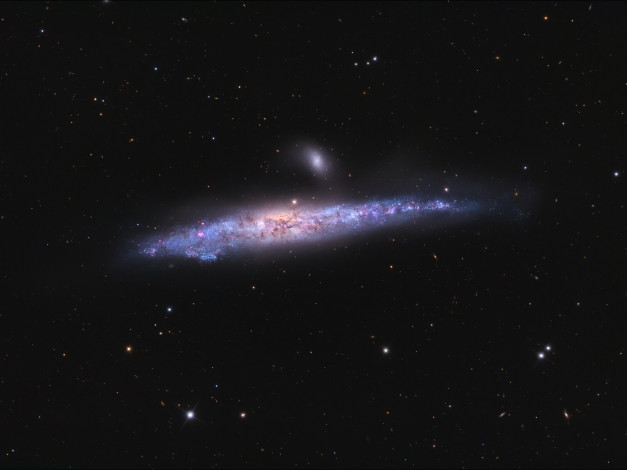 Обои картинки фото галактика, кит, космос, галактики, туманности
