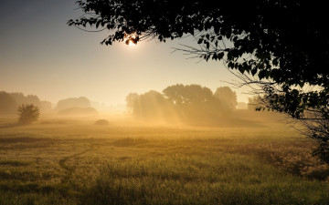 Картинка природа поля пейзаж утро туман поле
