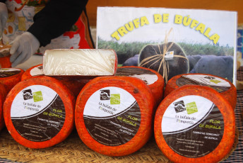 Картинка flor+de+bufala еда сырные+изделия сыр