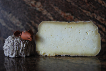 Картинка formatge+ovella+roja+mallorquina еда сырные+изделия сыр