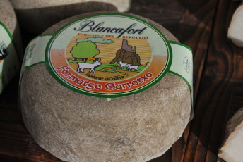 Картинка garrtoxa+blancafort еда сырные+изделия сыр