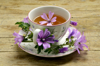 Картинка еда напитки +Чай цветы чай чашка