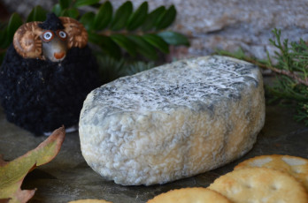 Картинка gour+noir еда сырные+изделия сыр