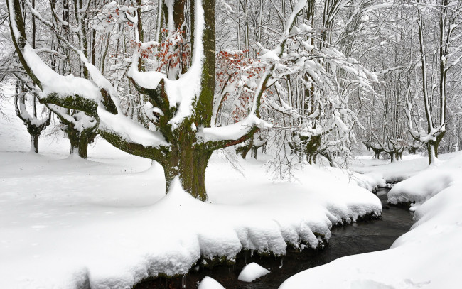 Обои картинки фото природа, зима, лес, снег, река