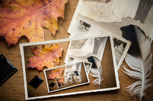 Обои картинки фото разное, - другое, перо, осень, лист, плёнка, свадебное, фото