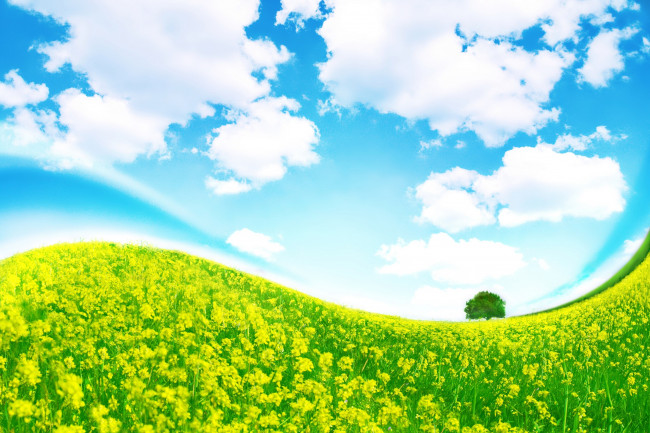 Обои картинки фото разное, компьютерный дизайн, небо, облака, трава, изгиб, дерево