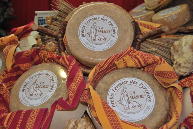 Обои картинки фото brebis pyrenees, еда, сырные изделия, сыр