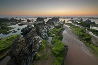 Картинка природа побережье горизонт закат небо водоросли камни скалы отлив море