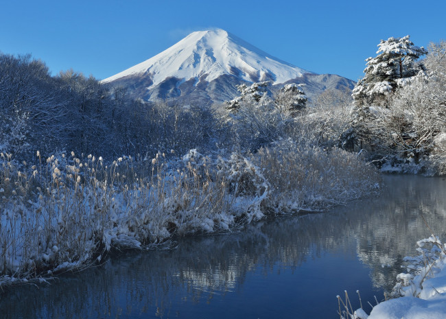 Обои картинки фото природа, реки, озера, деревья, река, зима, снег, небо, гора, Япония, фудзияма
