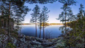 Картинка природа реки озера пейзаж закат деревья озеро весна