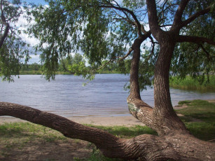 Картинка рига усть двинск природа реки озера