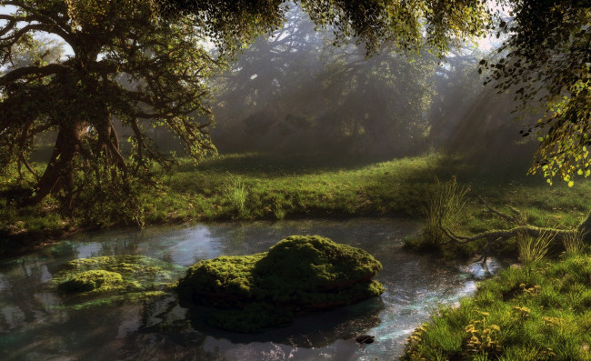 Обои картинки фото природа, реки, озера, вода, листва, пруд, мох, klontak, камни, лес