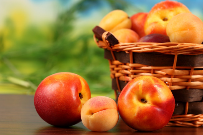 Обои картинки фото еда, персики, сливы, абрикосы, корзинка, нектарины