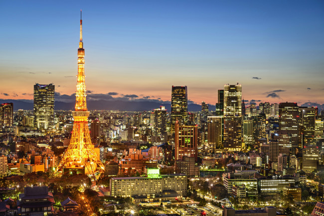 Обои картинки фото города, токио , Япония, токио, дома, мегаполис, панорама, огни, ночь