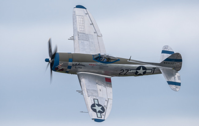 Обои картинки фото p-40 thunderbolt, авиация, боевые самолёты, истребитель